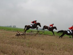 img_5969_web